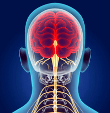 ilustracja kanałów nerwowych kręgosłupa szyjnego