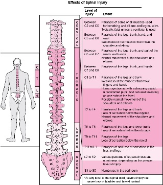 choroby organizmu związane z uszkodzeniem różnych części kręgosłupa